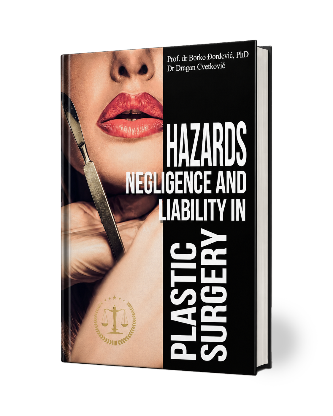 Hazards, Negligence and Liability in Plastic Surgery book cover